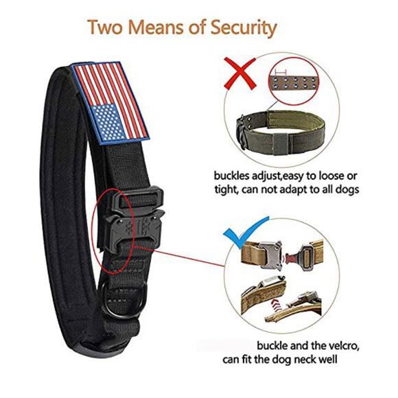 Dog collar size small US American Flag national emblem & Mama Says I'm Special - Picture 4 of 9